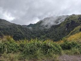 The way going to peak mountain, with Savana and foggy vibes. The photo is suitable to use for adventure content media, nature poster and forest background.