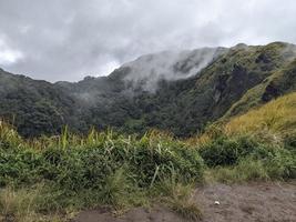 The way going to peak mountain, with Savana and foggy vibes. The photo is suitable to use for adventure content media, nature poster and forest background.