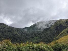 The way going to peak mountain, with Savana and foggy vibes. The photo is suitable to use for adventure content media, nature poster and forest background.