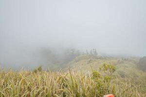 The way going to peak mountain, with Savana and foggy vibes. The photo is suitable to use for adventure content media, nature poster and forest background.