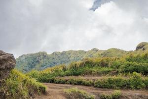 The way going to peak mountain, with Savana and foggy vibes. The photo is suitable to use for adventure content media, nature poster and forest background.