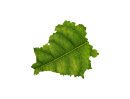 bielorussia carta geografica fatto di verde foglie, concetto ecologia carta geografica verde foglia su suolo png