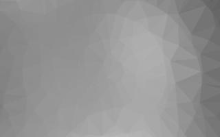 Light Silver, Gray vector polygonal background.