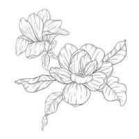 Floral Line Art. Magnolia Outline Flowers for Floral Coloring Pages, Minimalist Modern Wedding Invitations vector