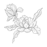 Floral Line Art. Magnolia Outline Flowers for Floral Coloring Pages, Minimalist Modern Wedding Invitations vector