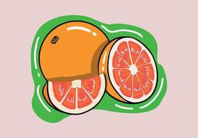 Hand drawn fresh grapefruit and slices isolated background. Cartoon style grapefruit. vector