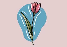 Beautiful colorful tulip. Tulip isolated on background. Pink tulip, green leave, spring plants. Vector illustration