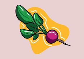 Hand drawn radish icon in flat style. Isolated object, logo. Vegan Vegetable from the farm. Organic food. Vector illustration.