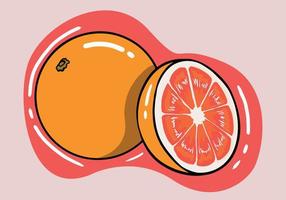 Hand drawn fresh grapefruit and slices isolated background. Cartoon style grapefruit. vector