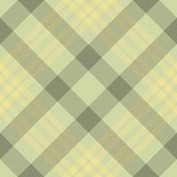 Plaid pattern vector. Check fabric texture. Seamless textile design for clothes, paper print. vector
