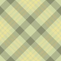 Plaid pattern vector. Check fabric texture. Seamless textile design for clothes, paper print. vector