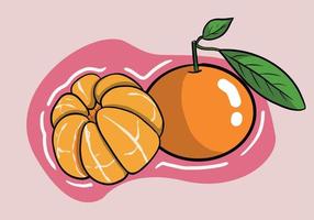 Hand drawn Set of fresh tangerine or mandarin fruits isolated on background. Vector illustration.