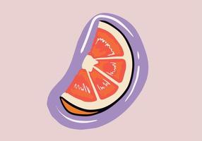 Hand drawn fresh grapefruit slices isolated background. Cartoon style grapefruit slice. vector