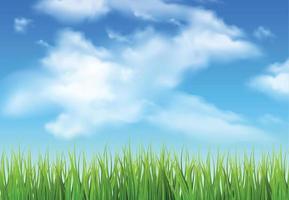 Blue sky with clouds ans grass, nature background. vector