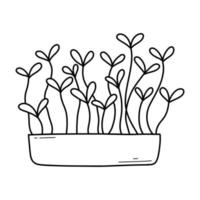 Hand drawn microgreens in pots. Vector illustration in doodle style isolated on white background. Micro green. Beets, lettuce, cabbage, sorrel, onion, radish, arugula, peas. Growing superfood at home.