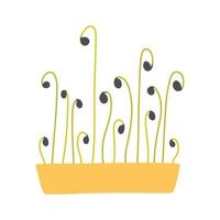Hand drawn microgreens in pots. Vector illustration in flat style isolated on white background. Micro green. Beets, lettuce, cabbage, sorrel, onion, radish, arugula, peas. Growing superfood at home.