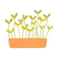 Hand drawn microgreens in pots. Vector illustration in flat style isolated on white background. Micro green. Beets, lettuce, cabbage, sorrel, onion, radish, arugula, peas. Growing superfood at home.