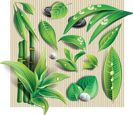 Set of leaf