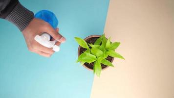 Hand holding spray bottle watering plan on table with copy space video