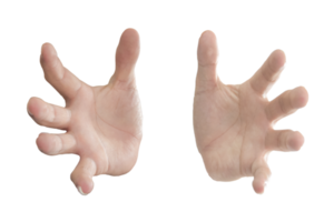 Human hand gestures showing isolated on transparent background png file