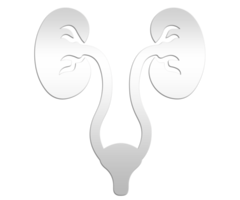 urologi ikon. trendig urologi logotyp begrepp på transparent bakgrund från hälsa och medicinsk png