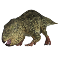 udanoceratops dinossauro isolado 3d render png