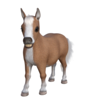 Cute horse isolated 3d rendering png