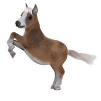 Cute horse isolated 3d rendering png