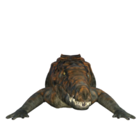 uberabasuchus dinosaure isolé 3d rendre png