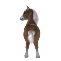 Cute horse isolated 3d rendering png