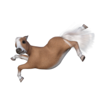 Cute horse isolated 3d rendering png