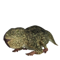 udanoceratops dinossauro isolado 3d render png