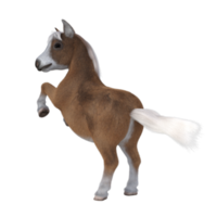 Cute horse isolated 3d rendering png