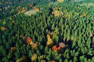 Aerial view of mountains covered with autumn forest photo