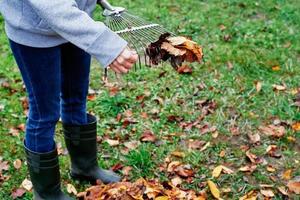 mujer rastrillando montón de hojas de otoño en el jardín con rastrillo foto