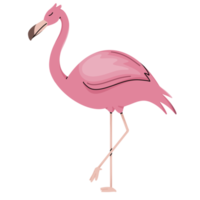 flamingo söt illustration png