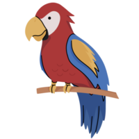 cacatua carino illustrazione png