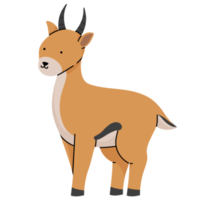 deer cute illustration png