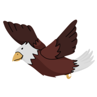halcón linda ilustración png