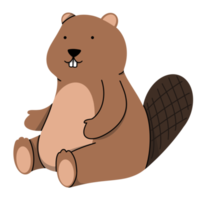 Beaver cute illustration png