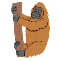 orangután linda ilustración png