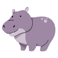 ippopotamo carino illustrazione png