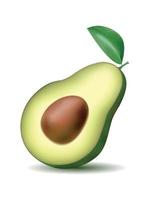 Ripe avocado in the cut, with a stone and leaf. With a shadow on transparent background. Fruit, a symbol of proper and healthy nutrition. Realistic vector graphics in eps10 format, no raster effects