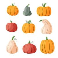 calabaza otoño mano dibujado colocar. acción de gracias y Víspera de Todos los Santos elementos. verde, amarillo, naranja y blanco calabazas diferente Talla y forma aislado en un blanco antecedentes vector