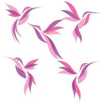 Set of abstract colorful design hummingbird isolated on white background vector