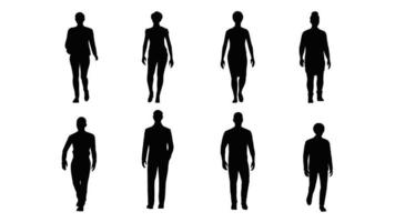 3D rendering,silhouette group of human walking isolated graphics on white background,Visual effect with alpha channel video