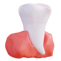 3d illustration of teeth and gums png