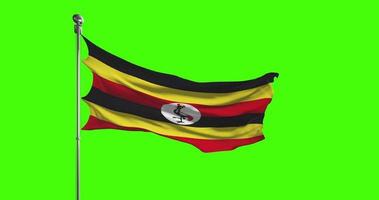 Uganda national flag waving on green screen. Chroma key animation. United Kingdom politics illustration video