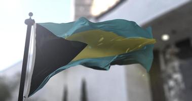 Bahamas national flag, country waving flag. Politics and news illustration video