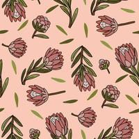 A pattern of illustrations of the king protea color sketch on a pink background. Exotic tropical hand-painted flowers, a symbol of South Africa. Background for printing, textiles, postcards vector